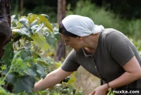 Feasting with the Seasons