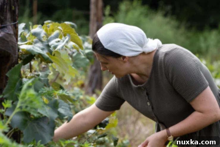 Alyona picking fresh grapes in her vibrant garden, showcasing the bounty of seasonal produce