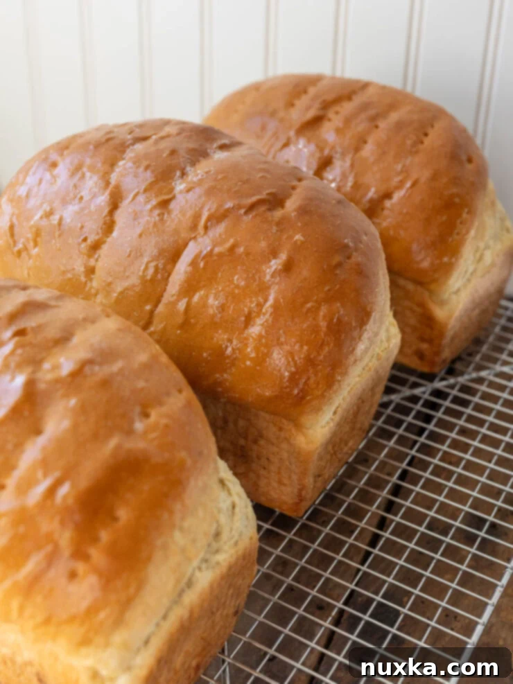 image of soft and fluffy homemade sandwich bread with white flour