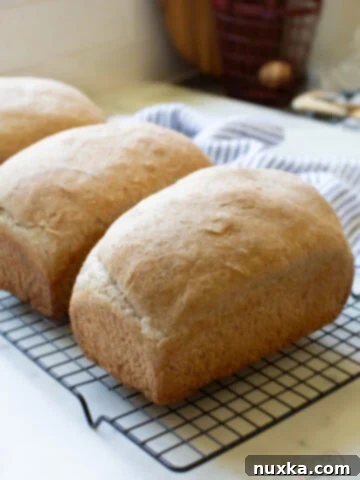 100% whole wheat sourdough bread