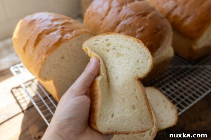 image of a super fluffy and soft sandwich bread slice made with white bread flour 