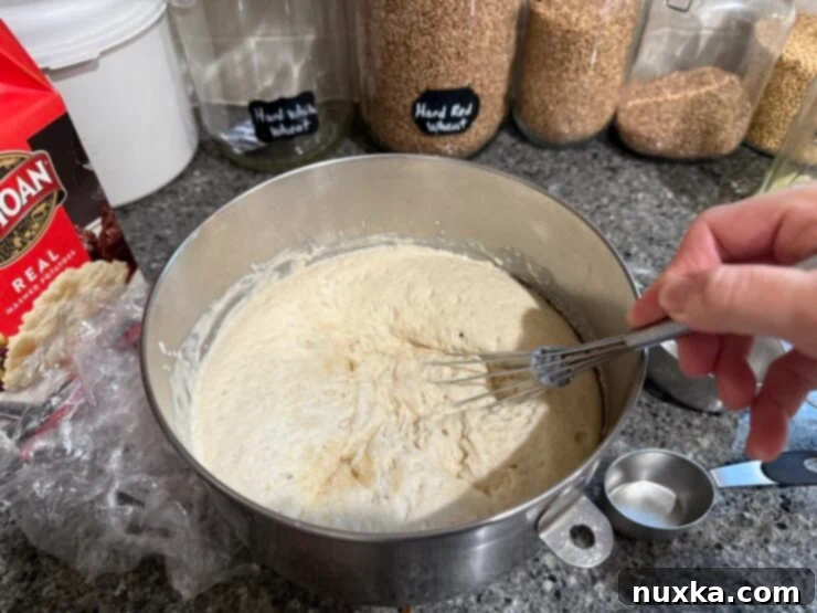 image of a pre-fermented sponge made with yeast