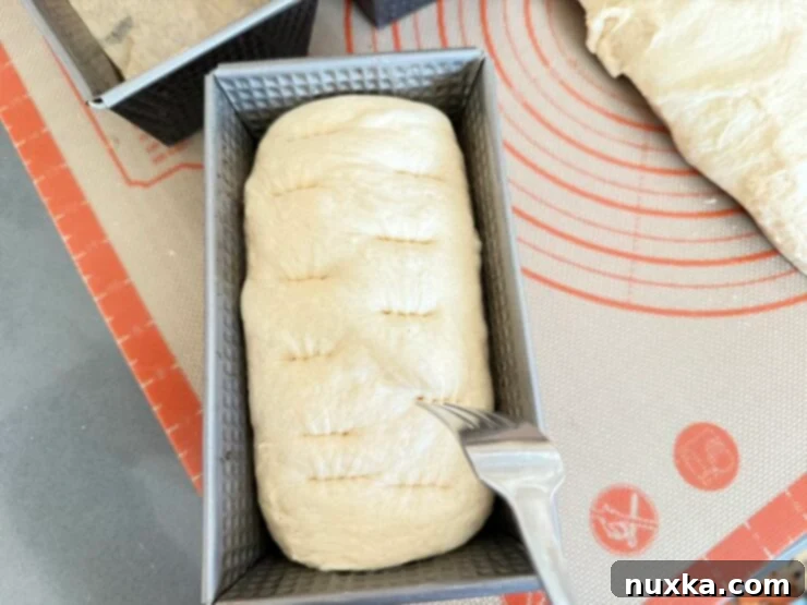 image of sandwich dough being pricked with a fork to remove air bubbles