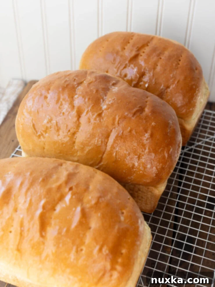 image of three Amish/Mennonite sandwich loaves made with white Patent flour