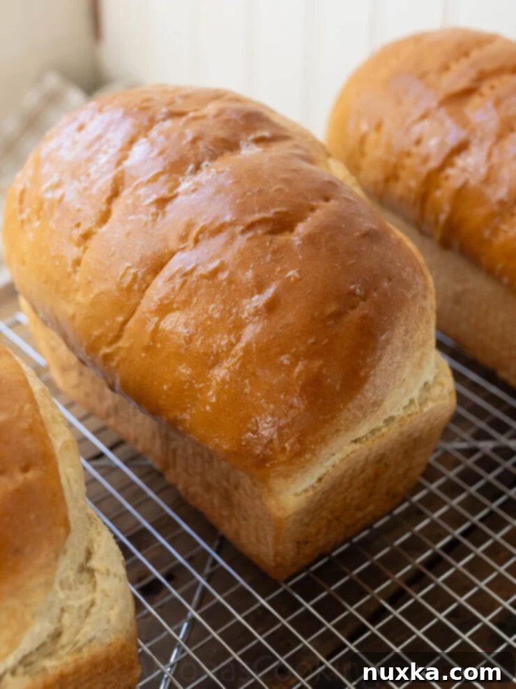 image of a sandwich loaf with a soft buttery, crust. 