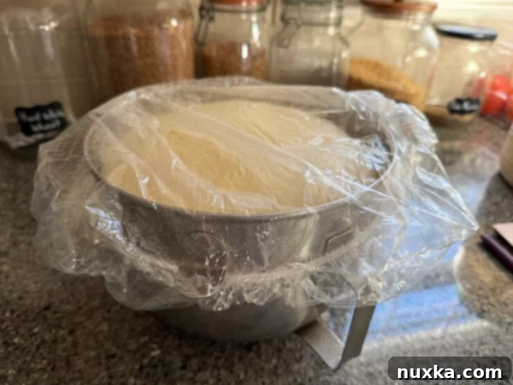 image of white sandwich bread that has fully risen 