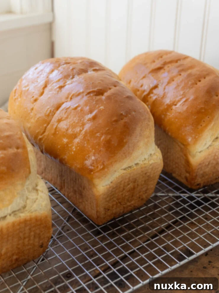 white sandwich loaves cooling on a wire rack