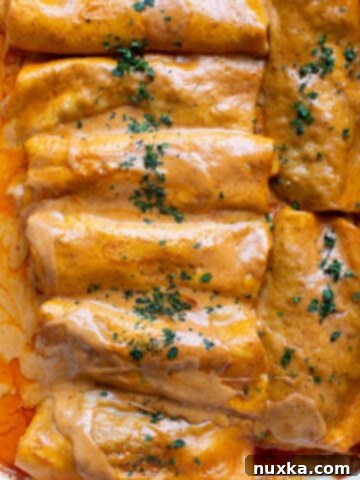 beef enchiladas in a homemade enchilada sauce