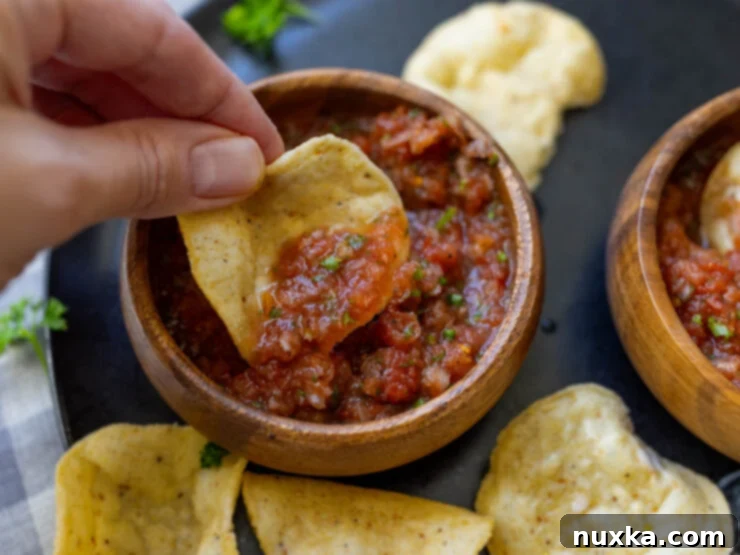 image of homemade salsa made from canned tomatoes in a serving bowl with a hand held tortilla chip 