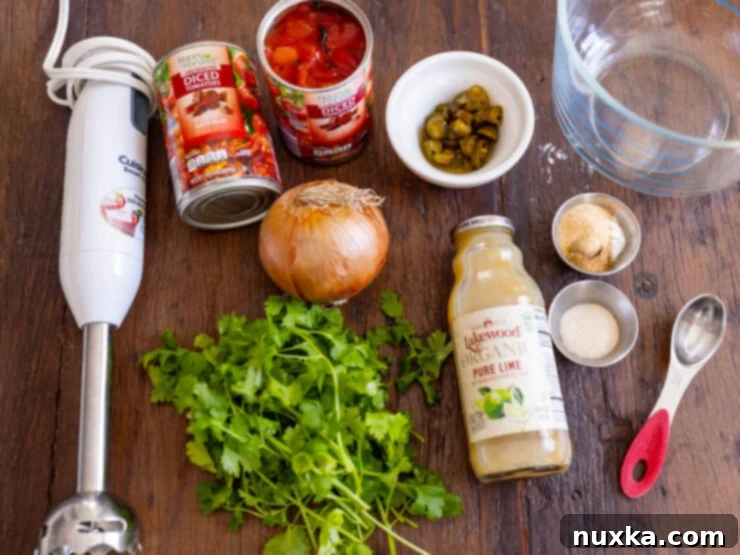image of all the ingredients for salsa made with canned tomatoes (fire roasted diced tomatoes, pickled jalapeños, spices, sugar, onion, and cilantro).