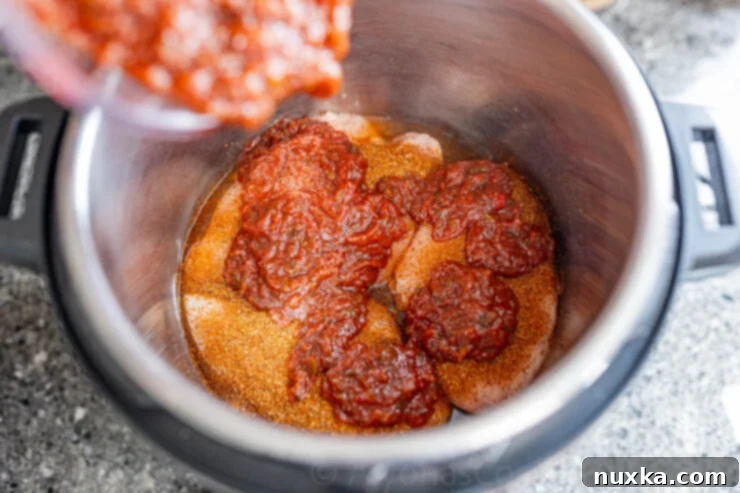 image of salsa chicken in the instant pot