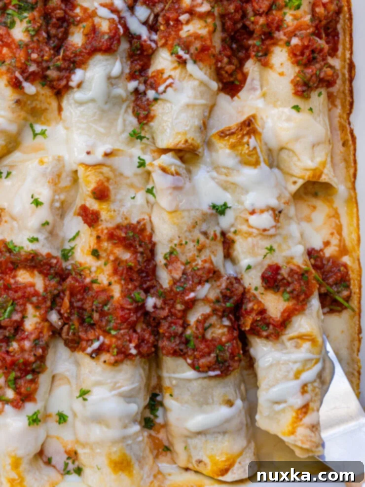 image of a close up on salsa chicken enchiladas 