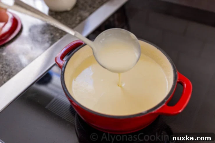 image of homemade Queso Sauce for enchiladas 