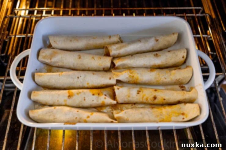 image of salsa chicken enchiladas baked in the oven for crispiness and gold brown color
