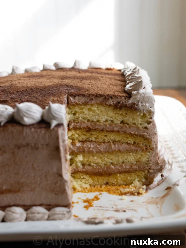 A sliced layered sheet cake tiramisu.