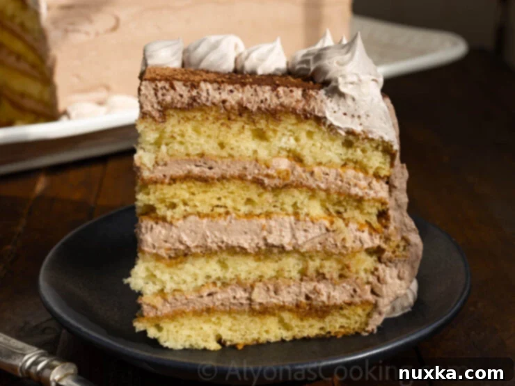 A sliced tiramisu cake layered with sponge cake and chocolate whipped frosting.
